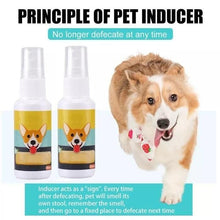 Natural Potty Training Spary for Dog & Cat (BUY 1 GET 1 FREE) 30ml each